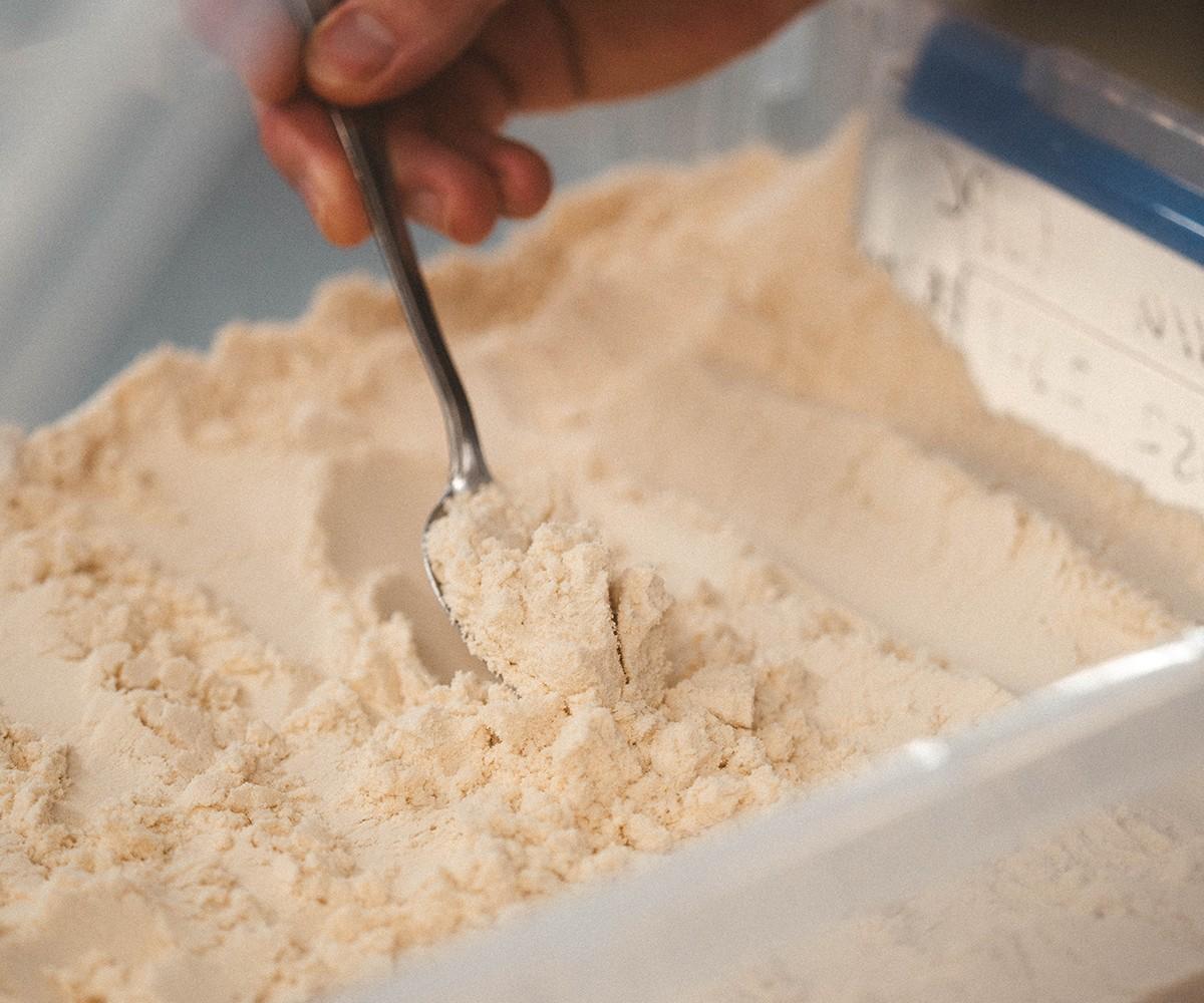 The Future of Whey: 2026 Ingredient Trends